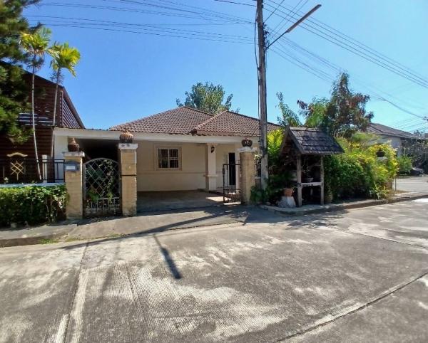 �Ң�ѭ �Ź�����