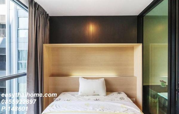 �͹����������¹�� �ҧ�ѡ