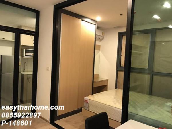 �͹�����ͧ�ѡ��� �ҧ�ѡ