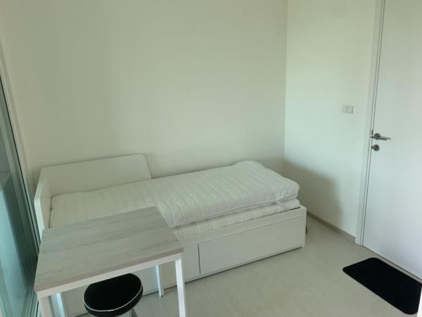 �͹����ͧ �� easythaihome