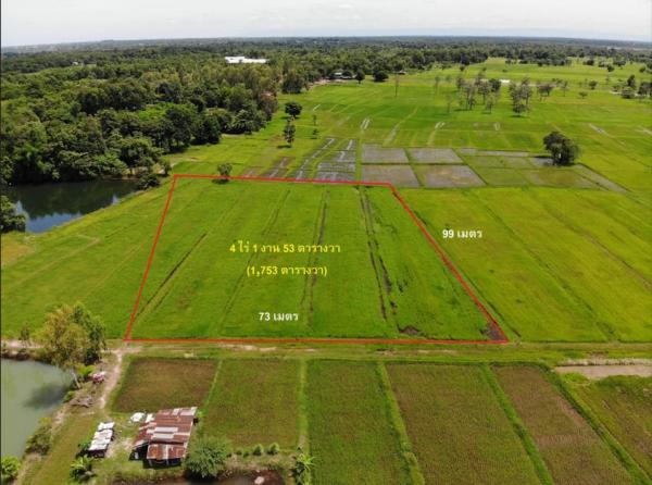 ���Թ ˹�ҡ��ҧ