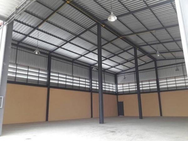 ���⡴ѧ �ҧ�͹��ا෾