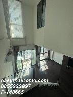 �͹� 61 ���ҧ�����Ҫ��� ��ا෾