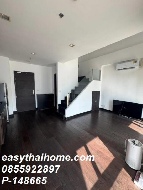 �͹� �Ҫ��� 61 ���ҧ����