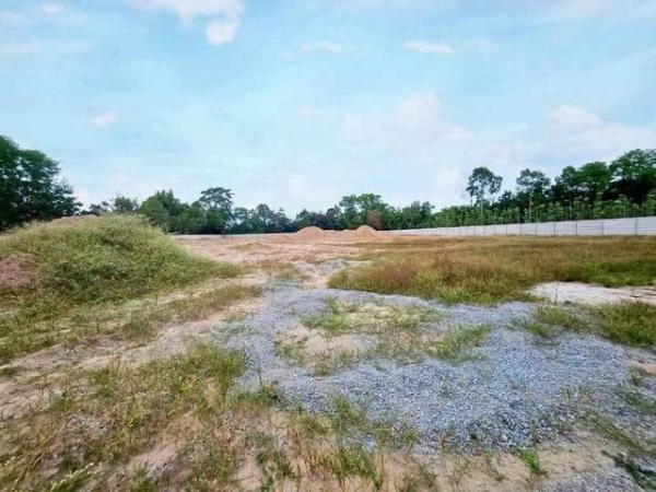 ������ͧ �� goodlada24