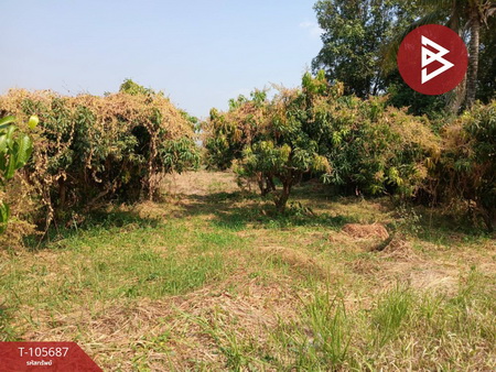 ��ɳ��š �� The Best Property Agent