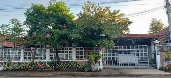 �ҧ�� �� northern1