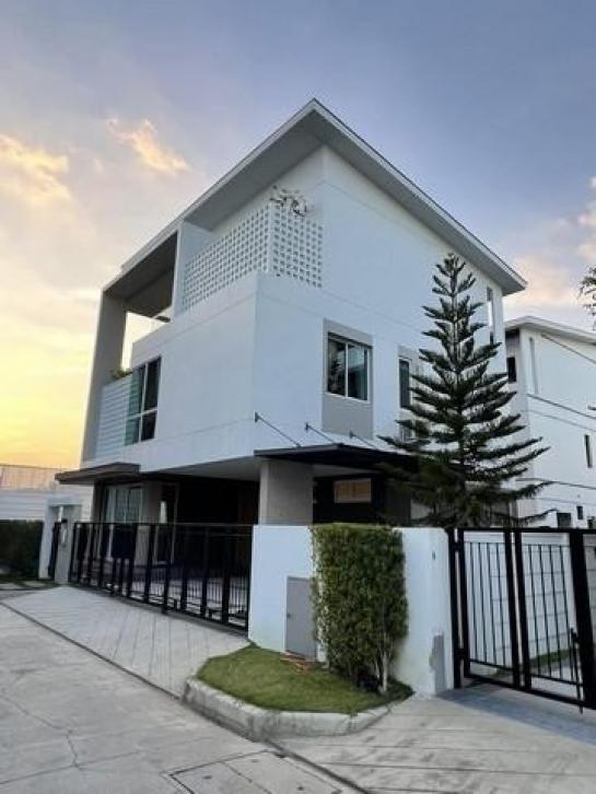 �оҹ�٧ �� kongpl