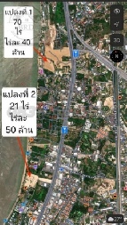 ���Թ �ҧ���ا