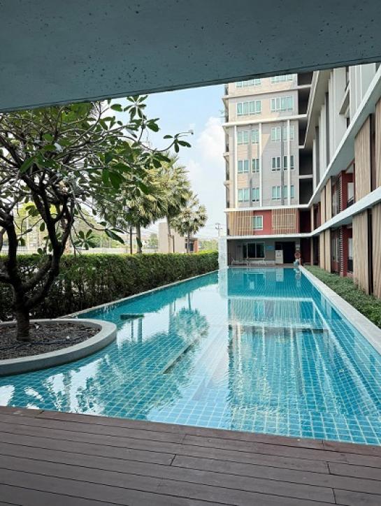 �͹ⴤѹ����� ��ا෾