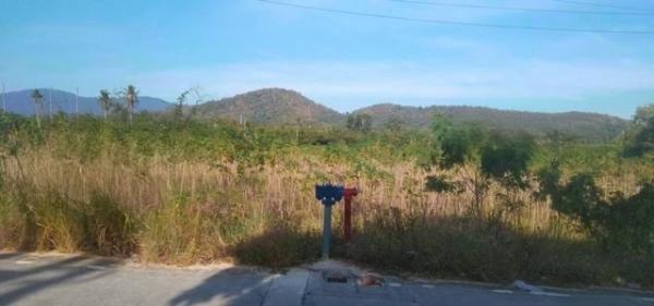 ����Ҫ� �� goodlada24