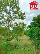 ���Թ 10 ��������� �ѹ�����