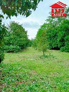 ��� ���Թ �������