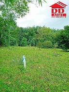 ���Թ 10 ���