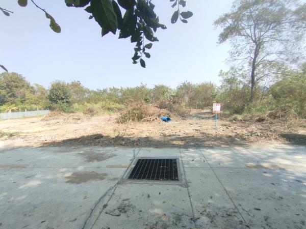 ที่ดิน sukhumvit ที่ดิน sukhumvit