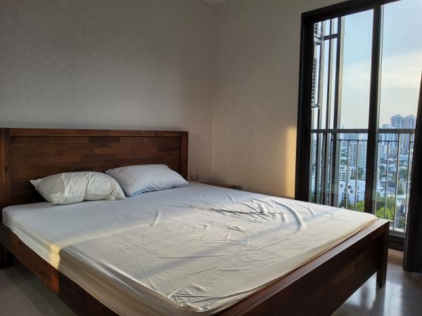 ��¾��⢹� �� easythaihome