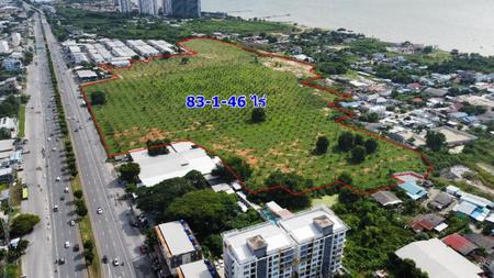 ที่ดิน บางพระ ชลบุรี ที่ดิน บางพระ ชลบุรี