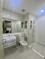 �͹� ��بѡ� 36 ���ҧ����