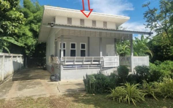 ��º�ҹ ���ͧ�ԨԵþԨԵ�