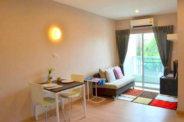 �Ң�ѭ �Ź�����