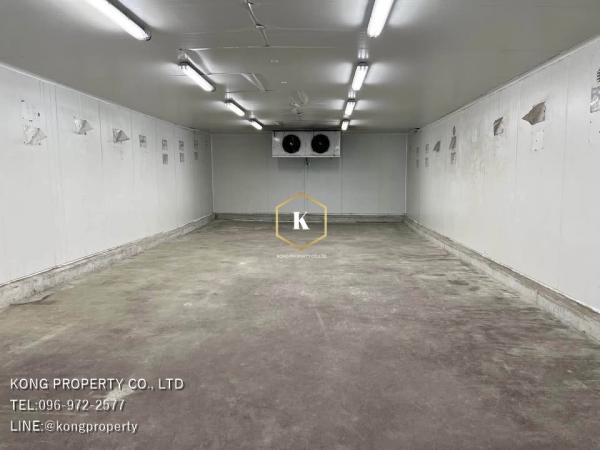 ������� �� Kong property