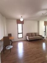 �͹� �ҧ��