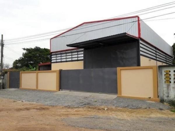 ���⡴ѧ �ҧ�͹