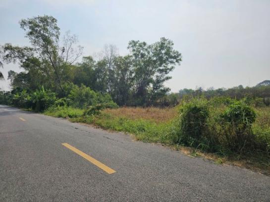 �����ҹ� �� iqithailand