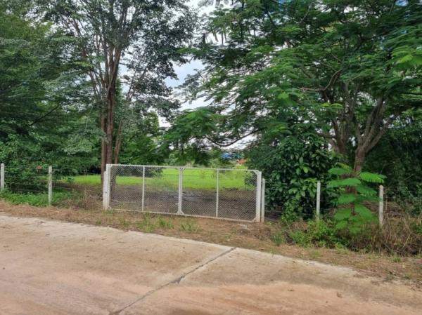 ���Թ������ �� Sawasdee