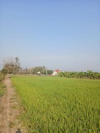 ��·��Թ �Ҥһ�С�Ȣ�� 6,000,000 �ҷ