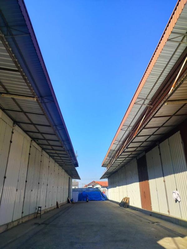 ���⡴ѧ ������