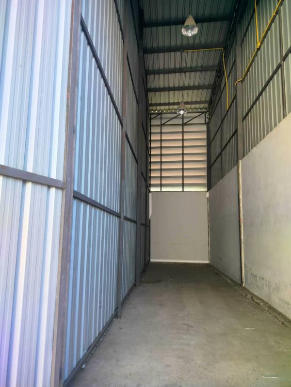 ���⡴ѧ ��������ا෾