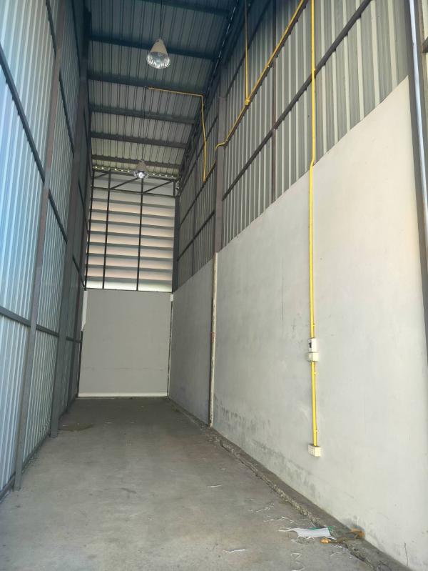 ���⡴ѧ ��������ا෾