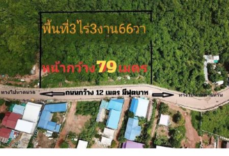 ���Թ�Դ����俿����Ҷ֧