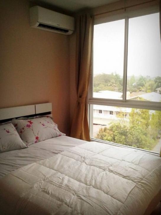 ���ͧ �� northern1