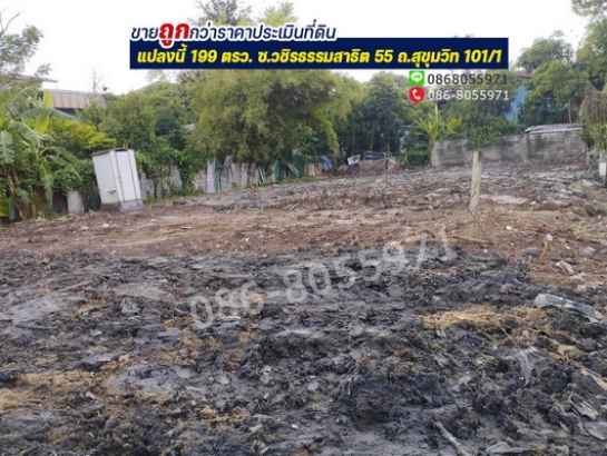 ��¾��⢹� �� lovethaihome101