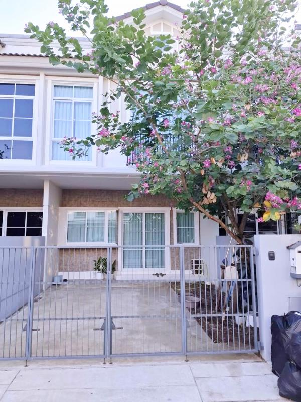 �ҧ�� �� nut.allentrepreneur