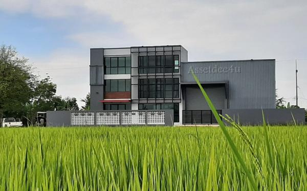 ���١�� �� AssetD4U