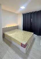 ������ �͹�