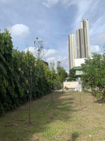 ��ҹ������ ��ͧ�ҹ