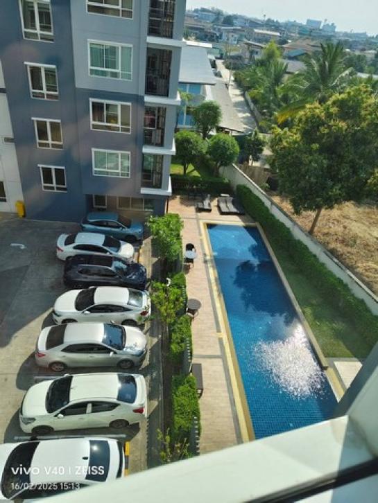 ��¤͹� ����ʹ �ҡ