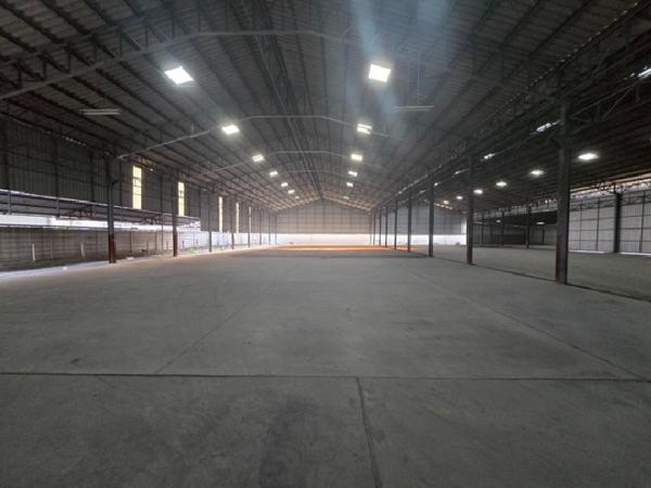 ��û�� �� parcob