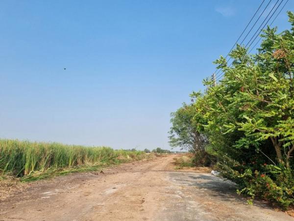 ขายที่ดิน บางนาตราด 4 ไร่