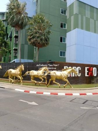 �ѹ����� �� domepost66