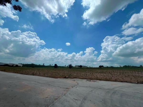 ����Ҫ� �� goodlada24