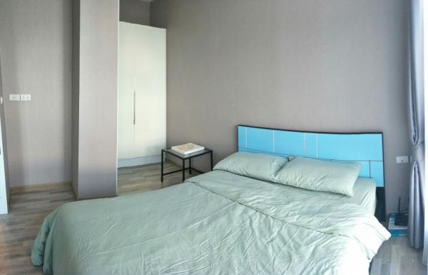 �Ң�ѭ �Ź�����