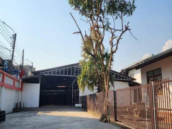 ⡴ѧ������ �� asangha PL