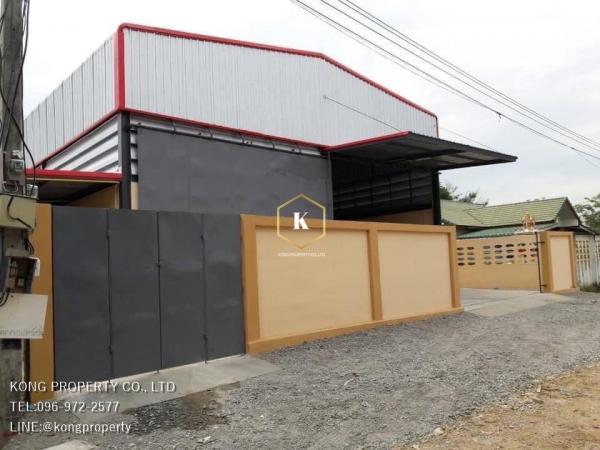 ���⡴ѧ �ҧ�͹