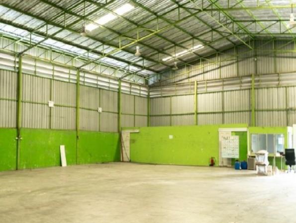 ⡴ѧ 193 ���ҧ��