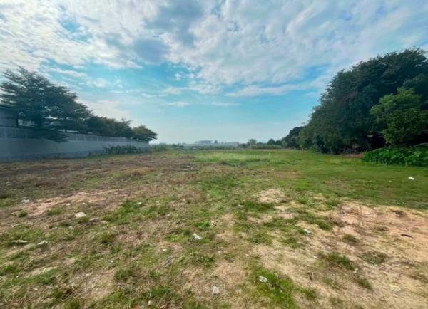 ����Ҫ� �� goodlada24